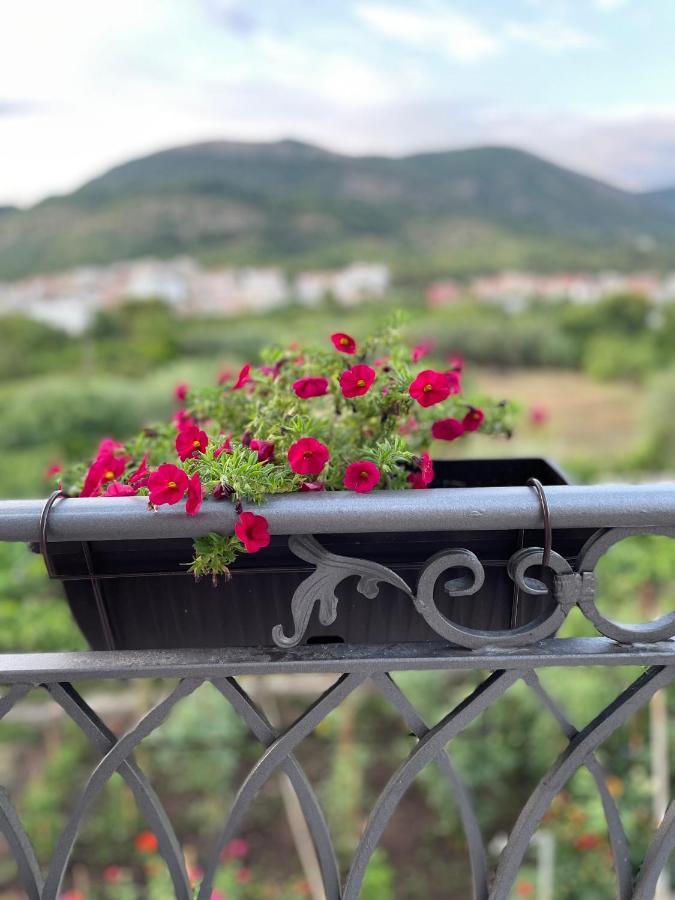 Petivat Gardens Apartment Luaran gambar