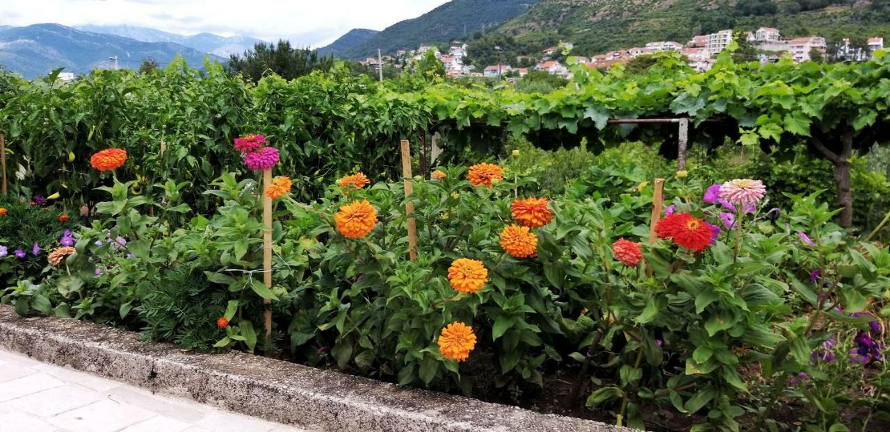 Petivat Gardens Apartment Luaran gambar